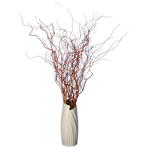 Curly Willow - Medium